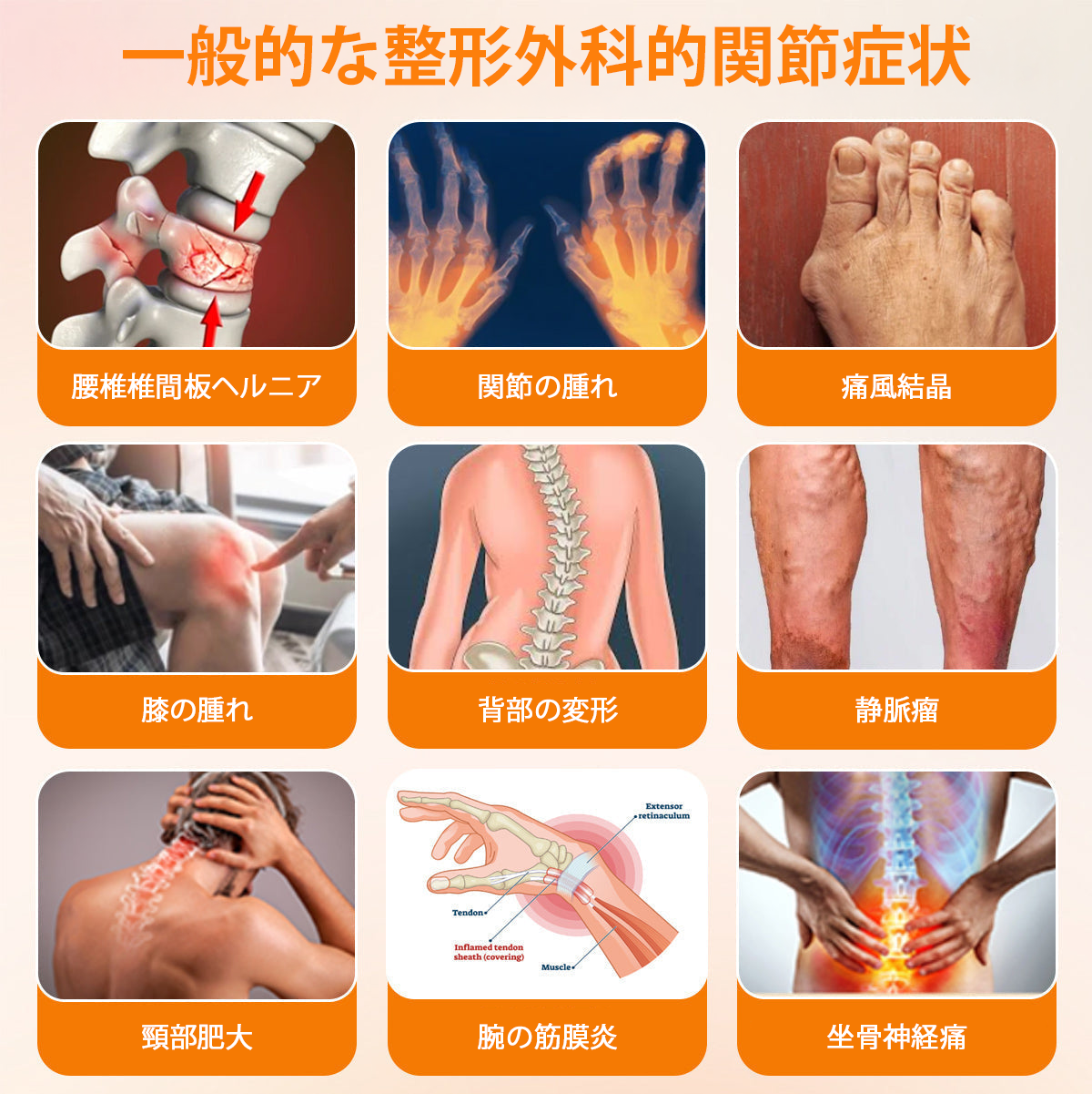 WarmFamily® ボツリヌストキシン＆蜂毒配合 骨治癒促進鎮痛クリーム🐝